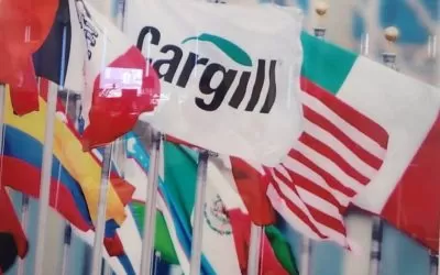 557f5fe0-f5e2-4051-87a7-6548bd7a04f9