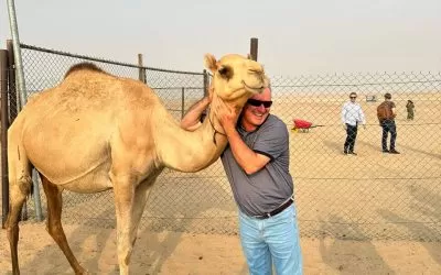 68bcd3ad-b417-46cc-8078-bec1b9f46c9f